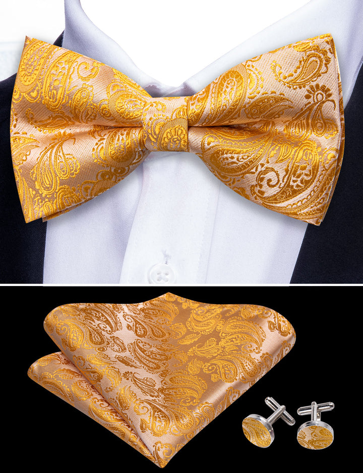 men paisley silk bow tie