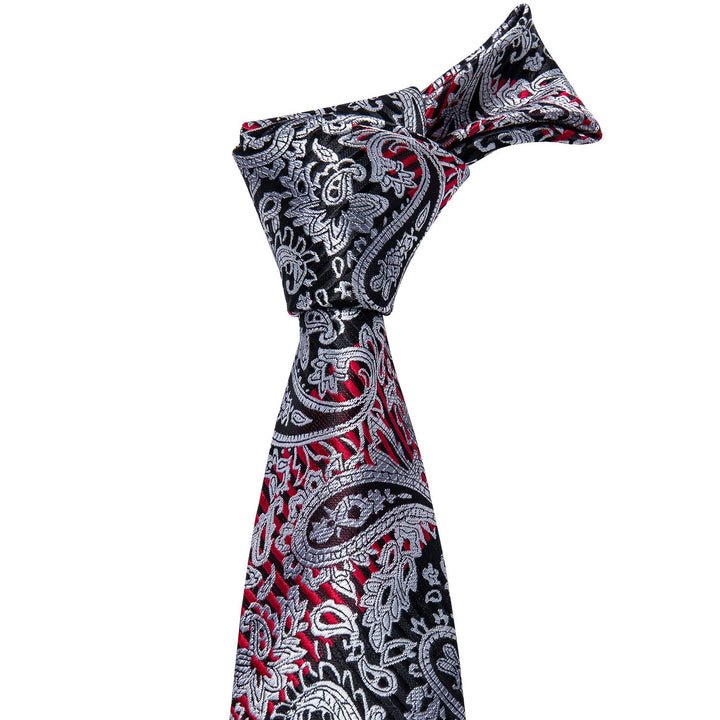 mens paisley tie