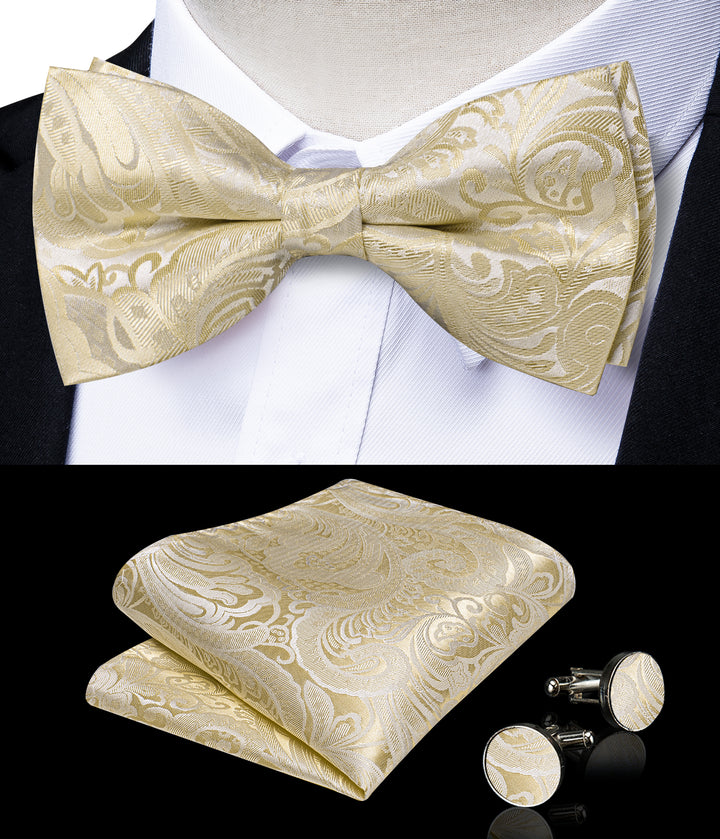 Silver Champagne ties2you Men\'s Jacquard Bow Tie Silk Handkerchief – Paisley Vest